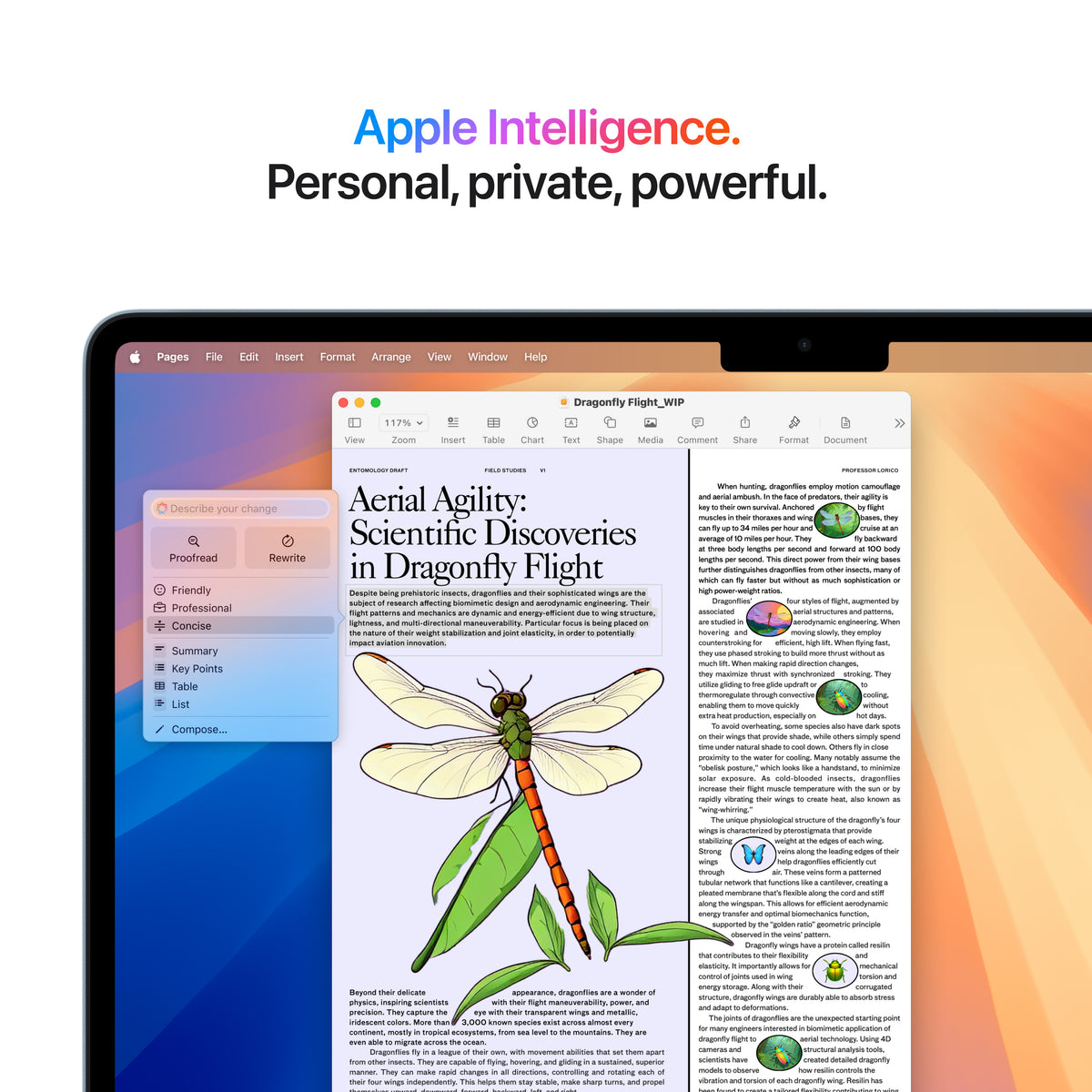 13-Inch MacBook Air: Apple M4 Chip with 10-Core CPU and 8-Core GPU, 16GB, 256GB SSD - Sky Blue