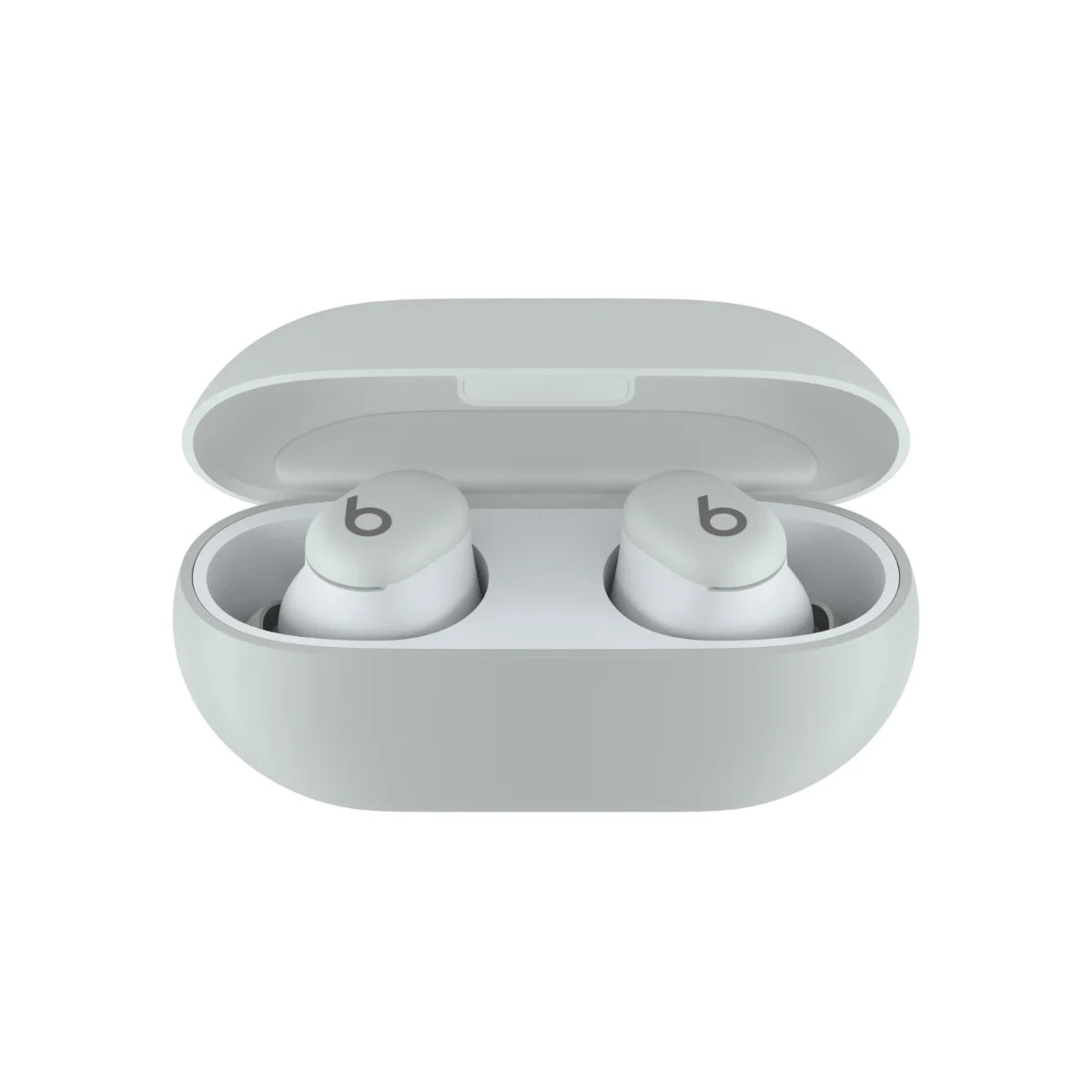 Beats Solo Buds True Wireless Earbuds - Storm Grey