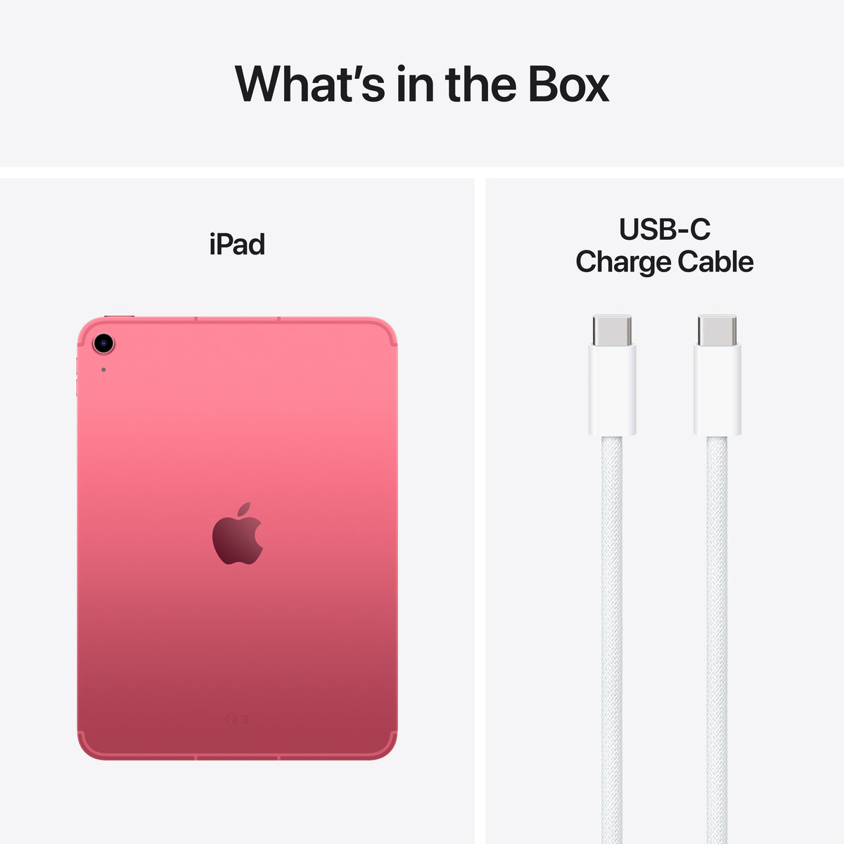iPad WiFi + Cellular 256GB Pink