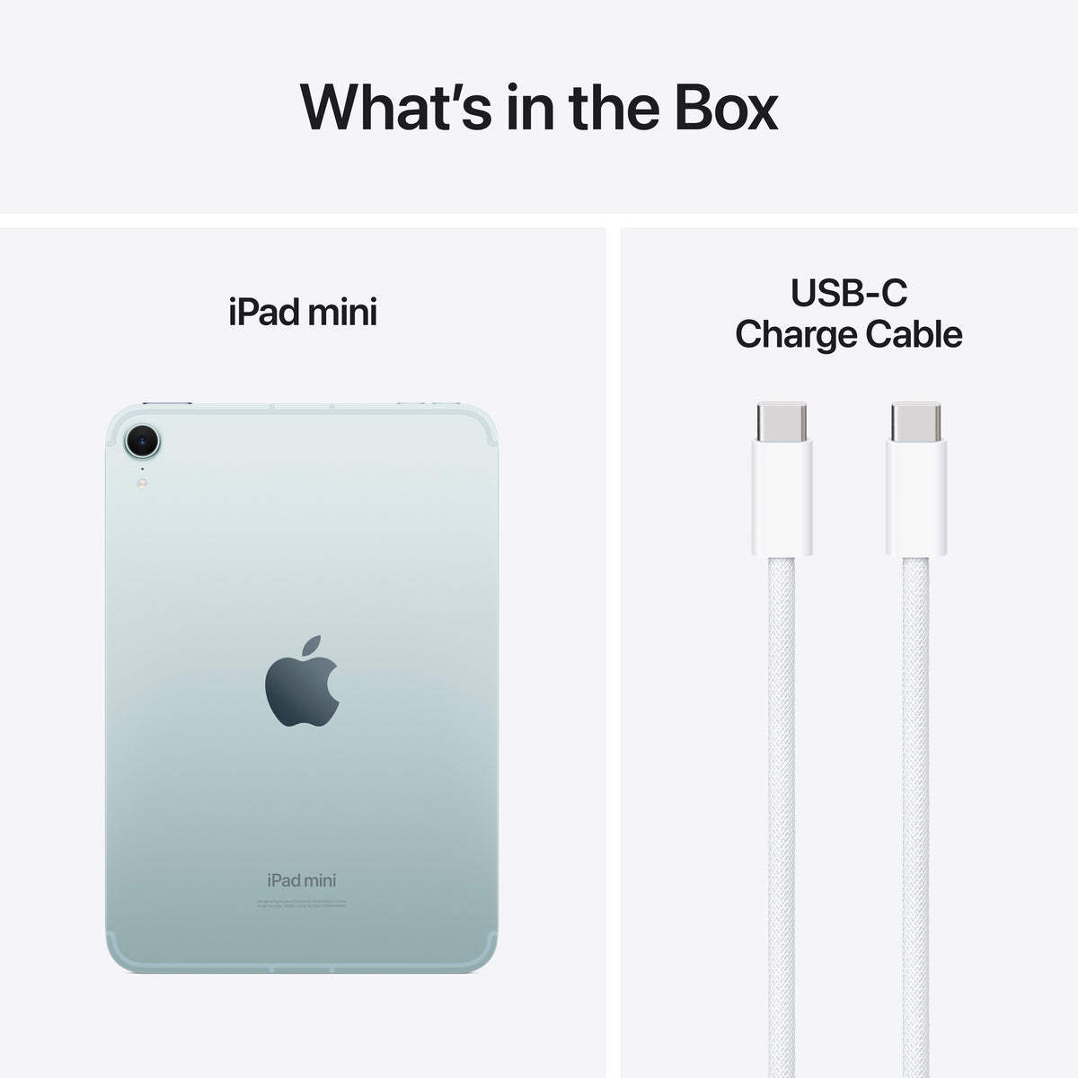 iPad mini Wi-Fi + Cellular 256GB - Blue