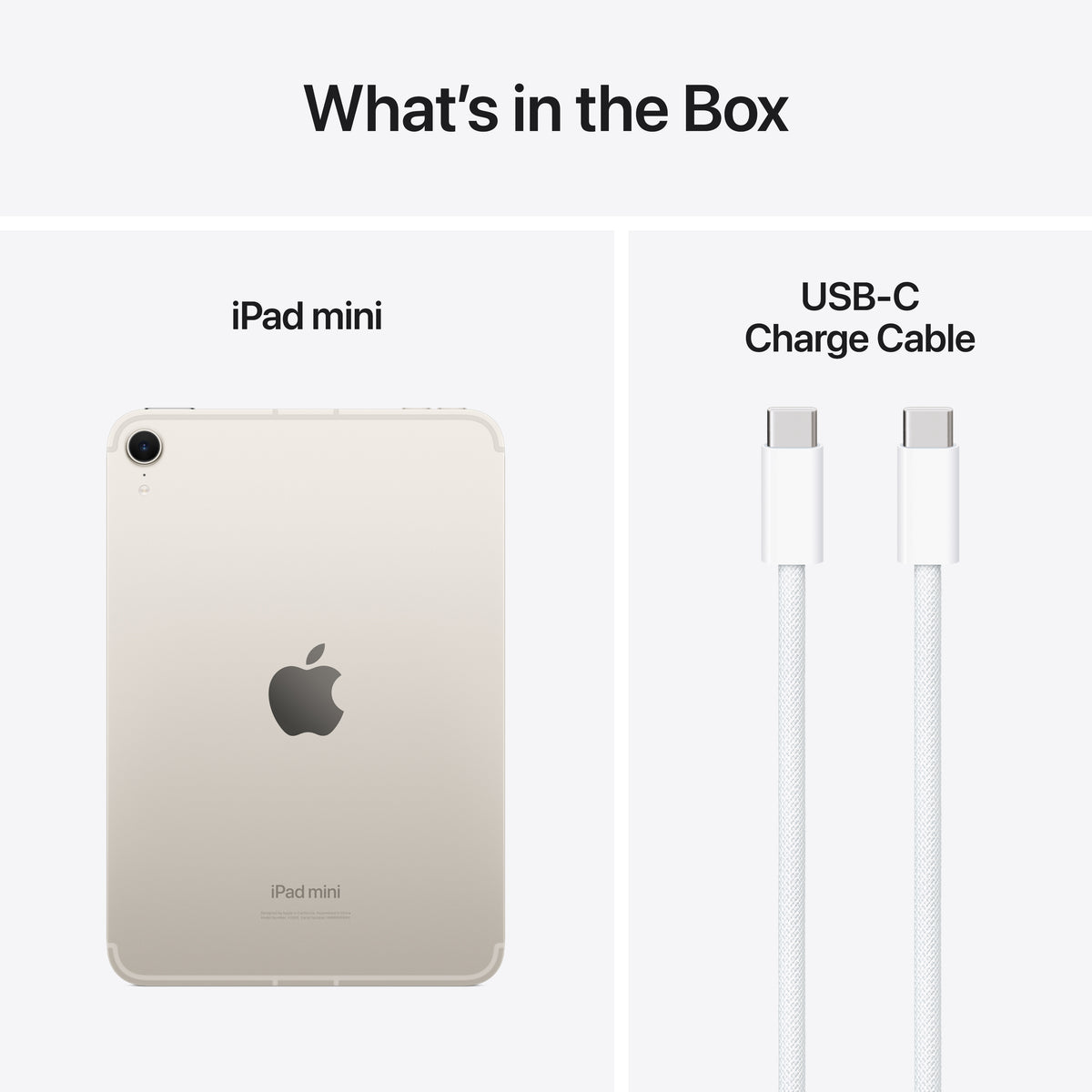 iPad mini Wi-Fi + Cellular 256GB - Starlight