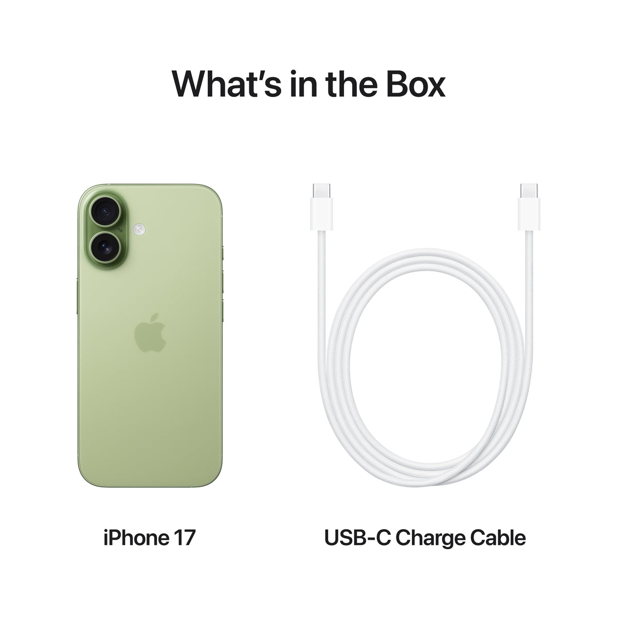 iPhone 17 Sage 512GB