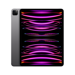 iPad_ProM2_WiFi_Cellular_Space